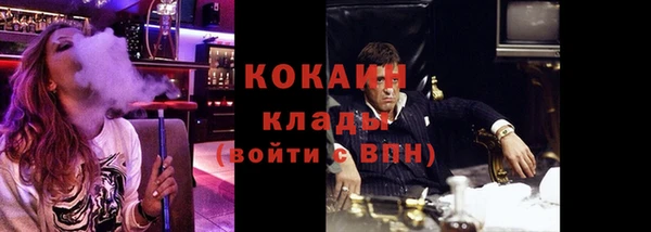 гашик Тобольск