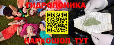 PSILOCYBIN Гусиноозёрск