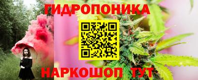 PSILOCYBIN Гусиноозёрск