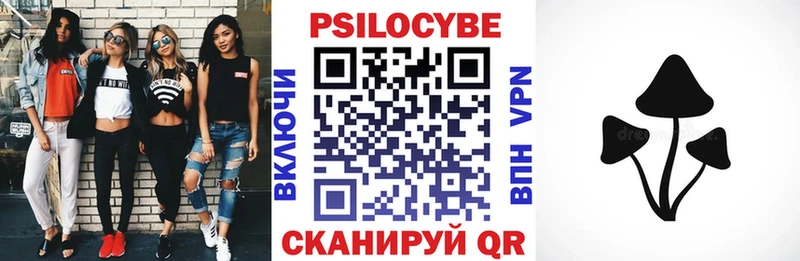 МЕГА ссылки Псков Псилоцибиновые грибы Psilocybe купить наркоту