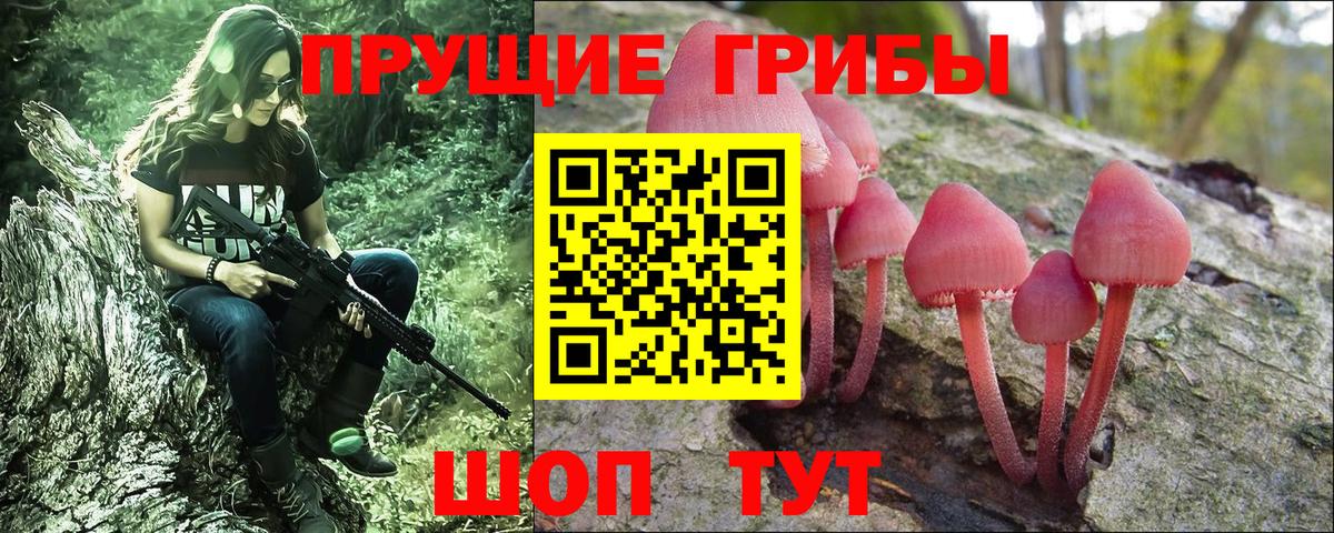 Галлюциногенные грибы Psilocybe  Вход с VPN  Псков 
